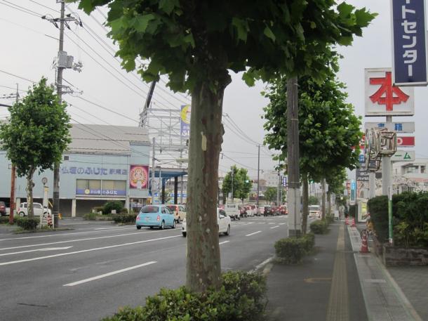 国道沿いの一角にタイヤ屋さんはあった