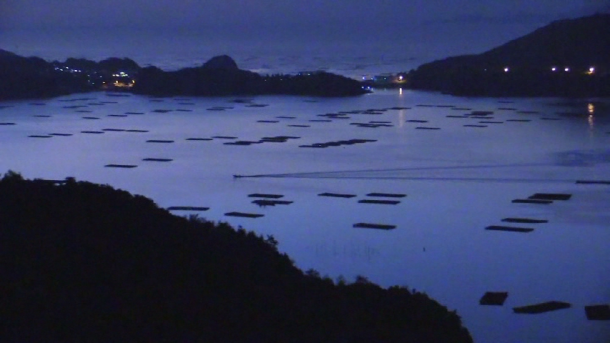 夜の瀬戸内海、カキ棚が浮かぶ(写真:宮﨑賢)