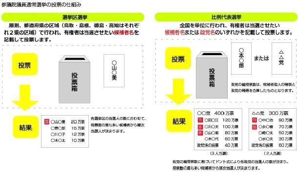 参院選の投票の仕組み(総務省HPから)