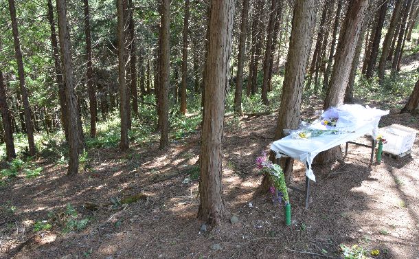遺体が遺棄された山林の斜面=2016年4月15日、茨城県常陸大宮市